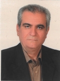 آقای سید منصور طباطبایی نیا